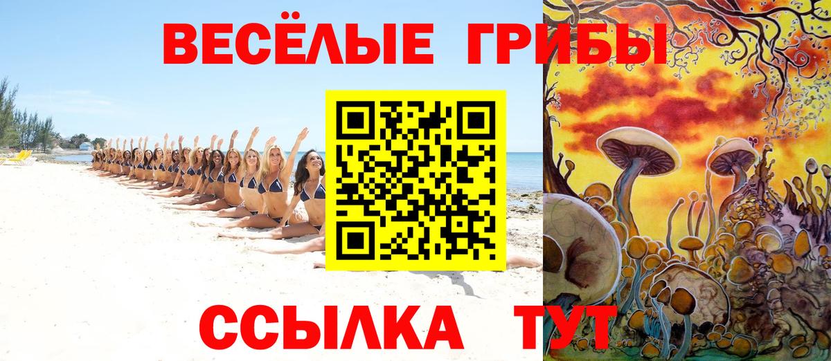 Псилоцибиновые грибы мухоморы  Галлюциногенные грибы прущие грибы  Вход с VPN  Кубинка 